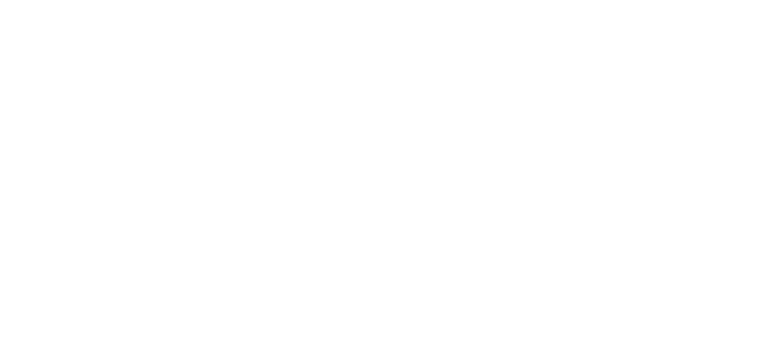 Logo NordVPN